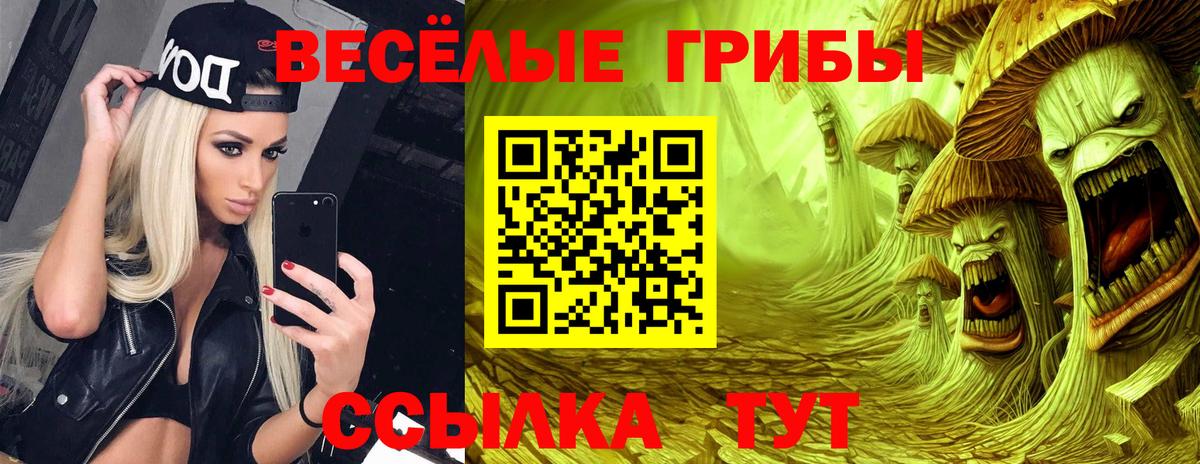 Галлюциногенные грибы Psilocybe  Вход с VPN  Избербаш 